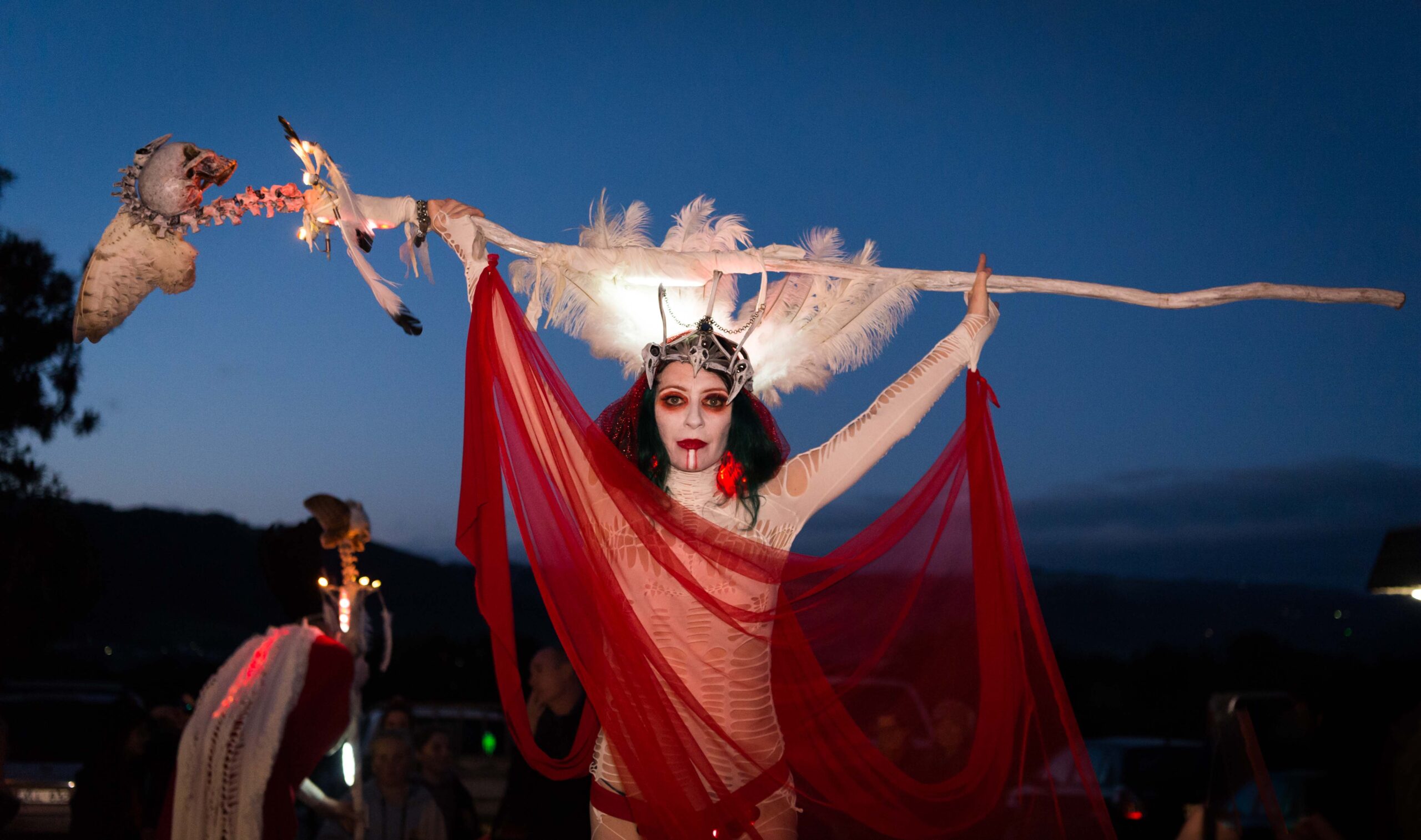High Priestess at WinterWild Festival  Image Credit - Ray Yeo