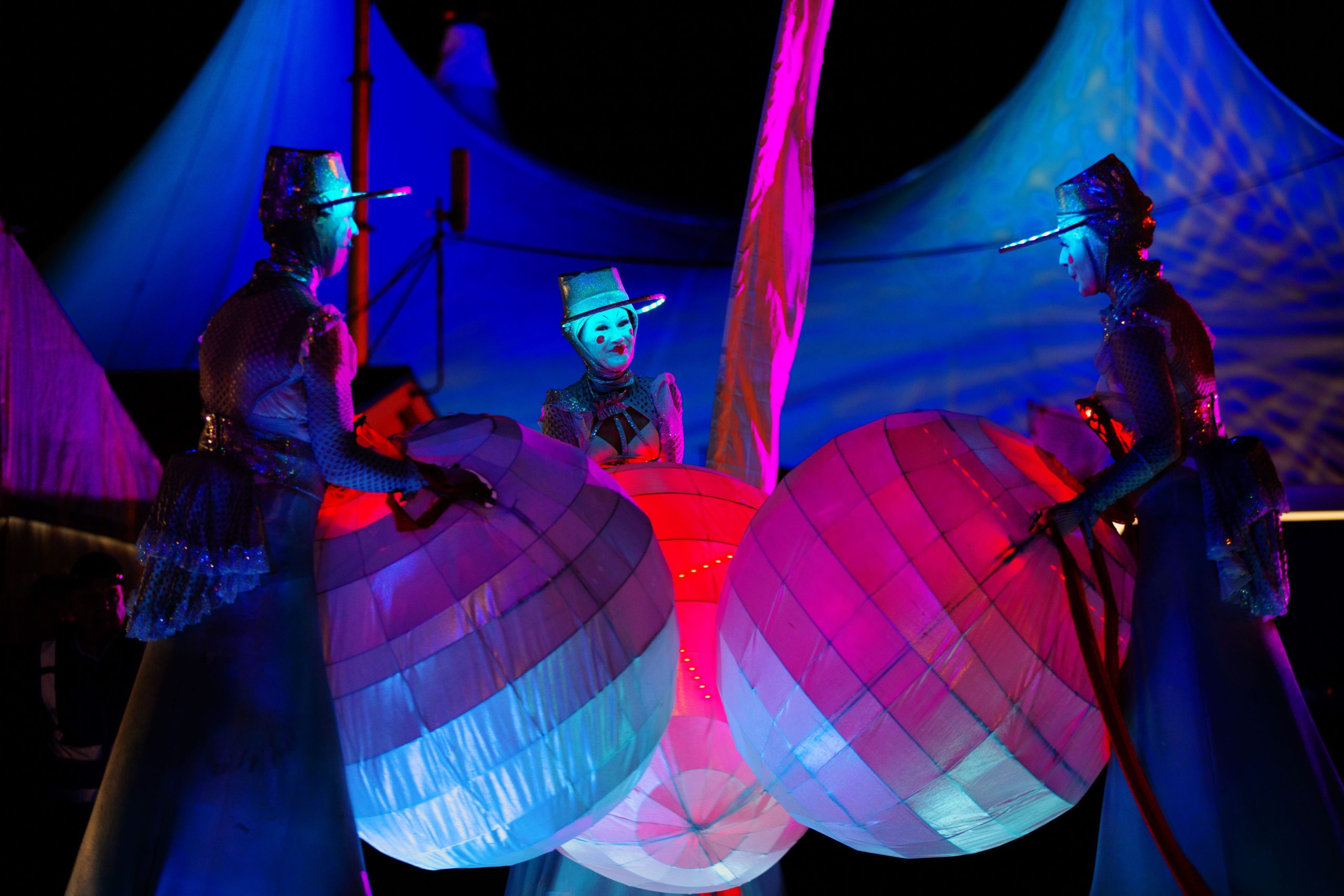 The Illuminates By WildHoney - Image by Rebecca Hosking